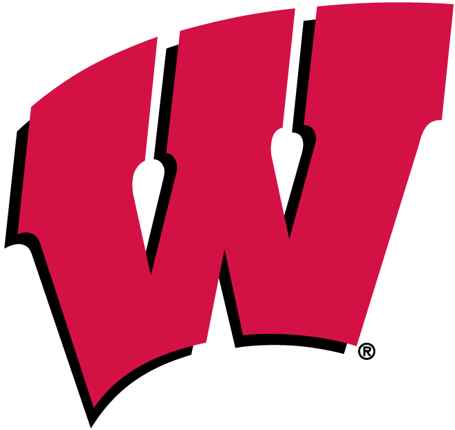 Wisconsin Badgers 1991-Pres Primary Logo iron on paper